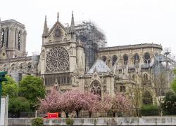 Notre-Dame : la Cour des comptes contrôlera les fonds pour sa reconstruction