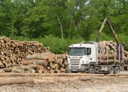 La filière bois s'organise pour la REP produits et matériaux de construction du bâtiment