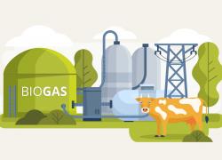 Le gouvernement revalorise la rémunération du biogaz