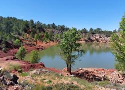 Qu'est-ce que l'obligation réelle environnementale sur un terrain ?