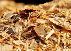 La filière bois-construction confrontée à la gestion de ses déchets de production