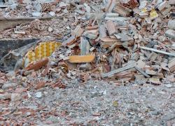 Enfouissement des déchets du BTP : une pratique vouée à disparaître ?