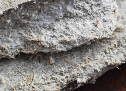 Amiante à Marseille : plus de 50 personnes et sept syndicats portent plainte