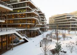 Arboretum : le campus bois qui domine le marché tertiaire en 2025