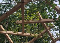 Construire avec le végétal