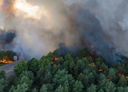 Forêt de Fontainebleau : le feu serait parti d'un chantier, deux ouvriers poursuivis
