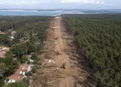 Mégafeu en Gironde : le pare-feu du Cap-Ferret devant la justice