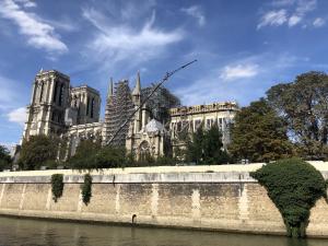 Début du sciage de huit chênes exceptionnels destinés à Notre-Dame de Paris