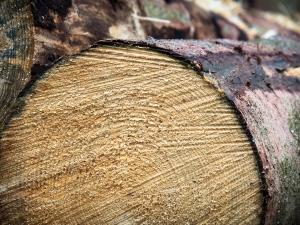 Façades bois, une réglementation incendie en transition