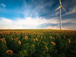 Impact environnemental