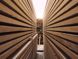 Construction bois