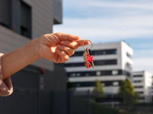 Organisations professionnelles