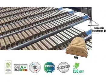 Entrevous Bois Seac   (EBS)