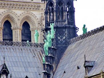 Début du sciage de huit chênes exceptionnels destinés à Notre-Dame de Paris