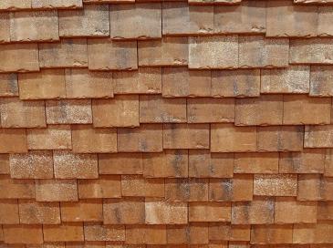 wienerberger initie un plan de compensation écologique inédit pour sa carrière de Chagny