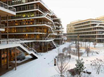 Arboretum : le campus bois qui domine le marché tertiaire en 2025