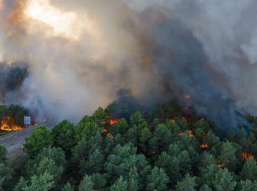 Forêt de Fontainebleau : le feu serait parti d'un chantier, deux ouvriers poursuivis