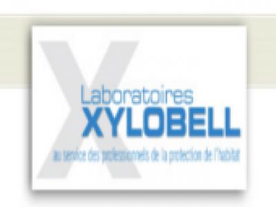 Xylgel 100 CTB P+(gelbois)