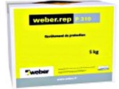 weber.rep P 310
