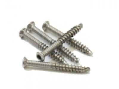 Vis-bois-auto-perceuse-ASSY-Plus-TS