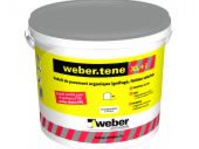 weber.tene XL+ i