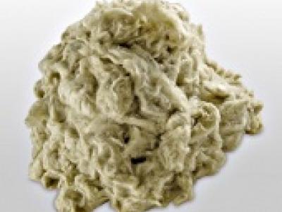AUT Fibers (AUT F)