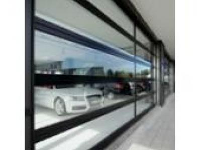 Porte sectionnelle ALR F42 Vitraplan