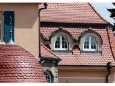 Hexaprotect - Minéralisant toitures