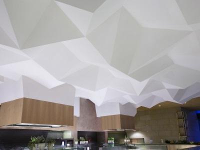 Rockfon® Mono® Acoustic
