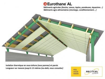 Eurothane® AL