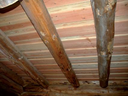 Poutres bois composites : des solutions performantes