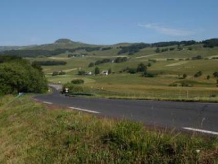 Vers un meilleur équilibre entre urbanisme et écosystème