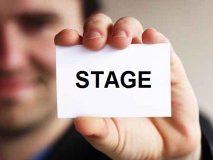 Encore du nouveau dans les stages