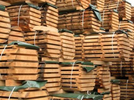 Un manifeste pour sauver la filière forêt bois française