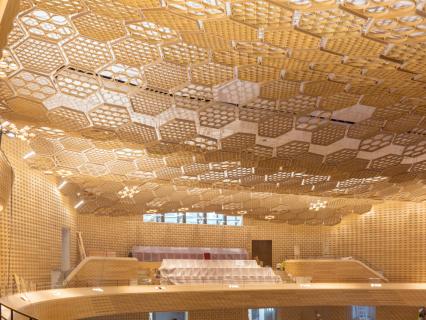 Un agencement artistique de bois acoustique à La Seine Musicale