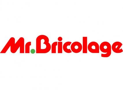 Mr Bricolage voit ses ventes chuter de 10% au premier semestre