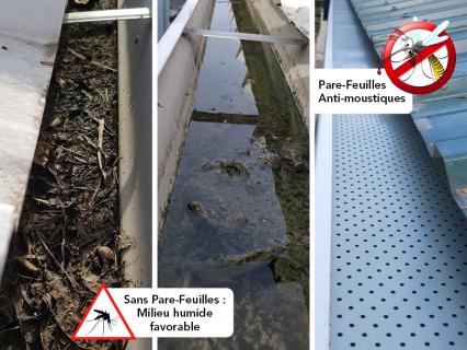 Ne laissez pas vos gouttières devenir un nid à moustiques !