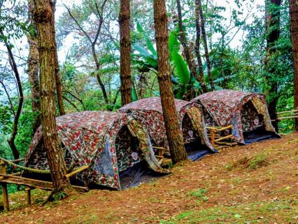 Le camping, un investissement immobilier pas comme les autres