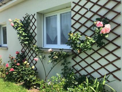 Un marché contrasté pour les fenêtres posées en 2019