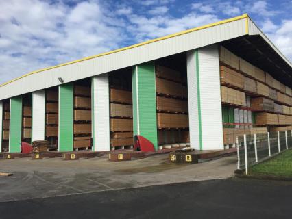 Le Commerce du bois fait face au choc de l’épidémie