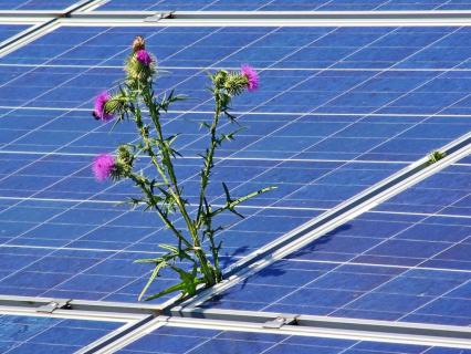 Des panneaux solaires, oui, mais pas à la place des champs !