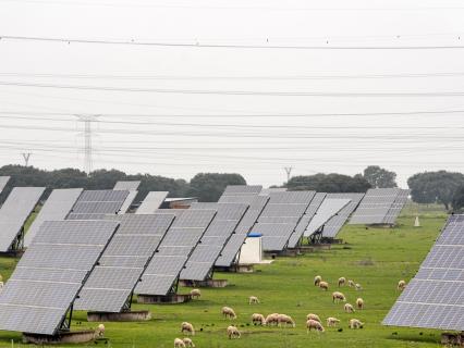 Eiffage finalise l'acquisition du groupe Sun'R