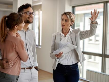 L'agent immobilier doit signaler les défauts, même visibles