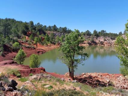 Qu'est-ce que l'obligation réelle environnementale sur un terrain ?