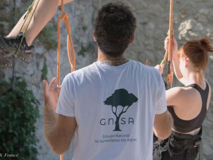 Des anti-A69 dans des arbres perchés face au tribunal avant une audience-clé