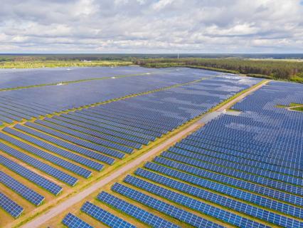 Neoen demande au gouvernement de débloquer son projet de méga centrale photovoltaïque