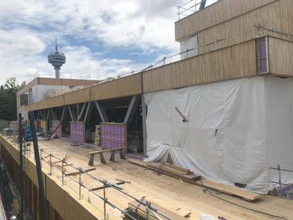 Un stade pour décrocher l’or