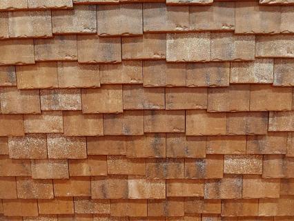 wienerberger initie un plan de compensation écologique inédit pour sa carrière de Chagny