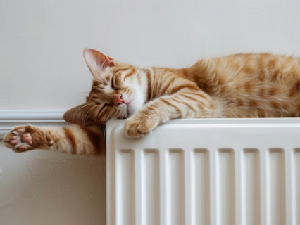 SpeedComfort, le ventilateur innovant qui booste les radiateurs