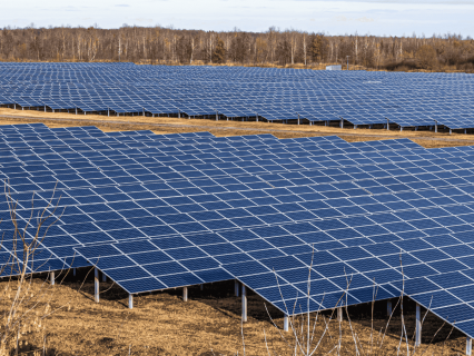 Protection des récoltes : comment l'agrivoltaïsme agit comme un bouclier climatique